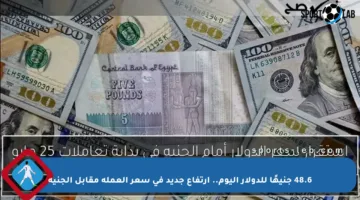 48.6 جنيهًا للدولار اليوم.. ارتفاع جديد في سعر العملة مقابل الجنيه